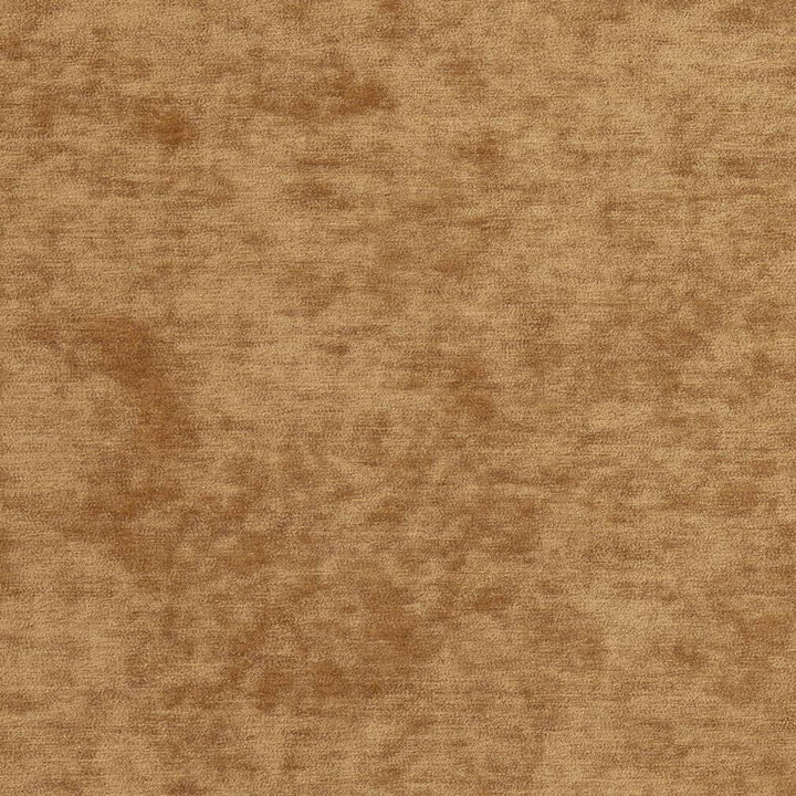 D2248 Camel by Charlotte Designer Fabric Crypton Posh 100% Polyester Asia Exceeds 100,000 Wyzenbeek Rubs (Heavy Duty) </p><p>Repeat: 54 Inches - Swanky Fabrics -
