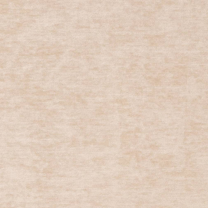 D2263 Bone by Charlotte Designer Fabric Crypton Posh 100% Polyester Asia Exceeds 100,000 Wyzenbeek Rubs (Heavy Duty) </p><p>Repeat: 54 Inches - Swanky Fabrics -