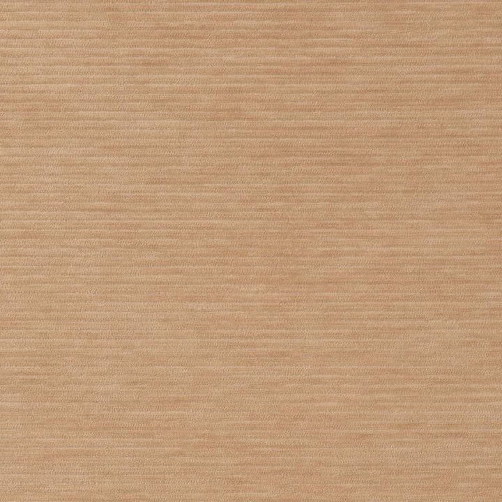 D2288 Cashew by Charlotte Designer Fabric Crypton Coastal 100% Polyester Asia Exceeds 100,000 Wyzenbeek Rubs (Heavy Duty) </p><p>Repeat: 54 Inches - Swanky Fabrics -