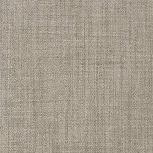 Charlotte Fabric D2302 Ash