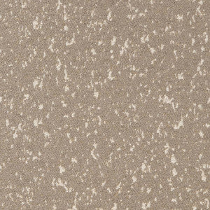 Charlotte Fabric D2323 Smoke