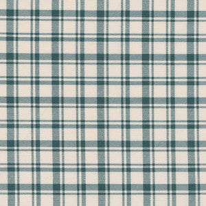 Charlotte Fabric D2391 Teal