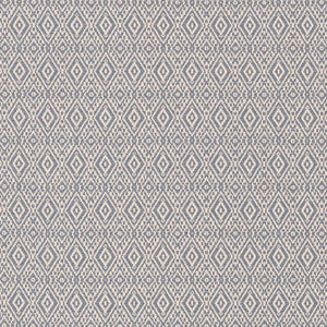 Charlotte Fabric D2413 Denim