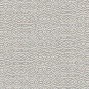 Charlotte Fabric D2414 Rain