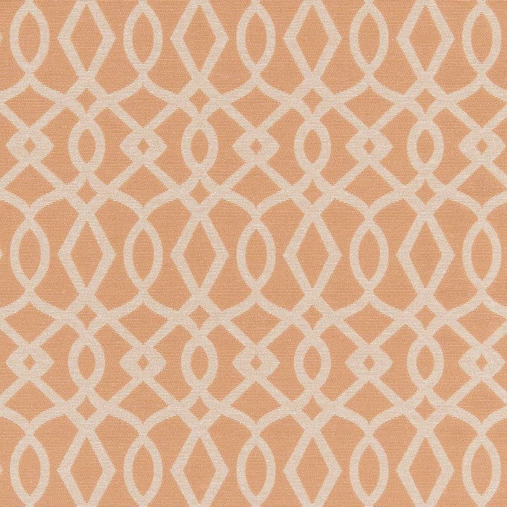 D2442 Peach by Charlotte Designer Fabric Crypton Patterns 51% Polyester, 49% Cotton Made in USA Exceeds 90,000 Wyzenbeek Rubs (Heavy Duty) </p><p>Repeat: Horizontal 4" x Vertical 6.75" 54 Inches - Swanky Fabrics -