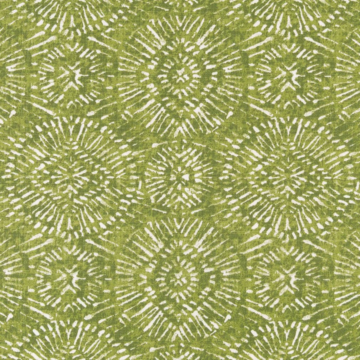 D2498 Lime by Charlotte Designer Fabric Patio Prints 100% Polyester Made in USA Exceeds 60,000 Wyzenbeek Rubs (Heavy Duty) </p><p>Repeat: Horizontal 13.5" x Vertical 12.5" 54 Inches - Swanky Fabrics -