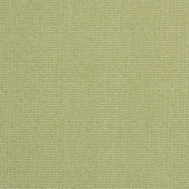 D2521 Pear by Charlotte Designer Fabric Veranda 100% Polypropylene USA Exceeds 60,000 Wyzenbeek Rubs </p><p>Repeat: 54 Inches - Swanky Fabrics -