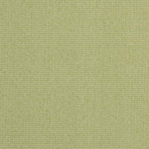 Charlotte Fabric D2521 Pear