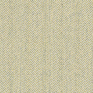 Charlotte Fabric D2532 Spring