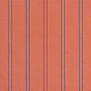 Charlotte Fabric D2539 Punch