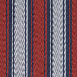Charlotte Fabric D2543 Tomato
