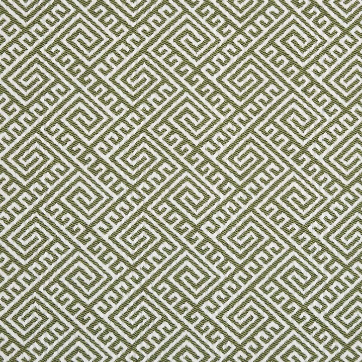 D2553 Lime by Charlotte Designer Fabric Veranda 100% Polypropylene USA Exceeds 60,000 Wyzenbeek Rubs </p><p>Repeat: Horizontal 4.5" x Vertical 3.5" 54 Inches - Swanky Fabrics -