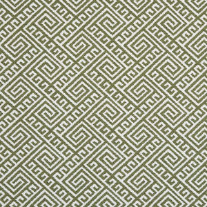 Charlotte Fabric D2553 Lime