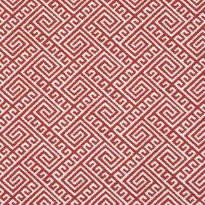 Charlotte Fabric D2555 Watermelon