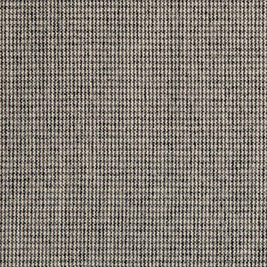 Charlotte Fabric D2574 Mini Check Coal