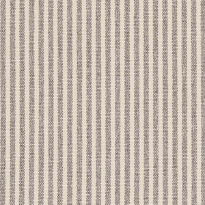 Charlotte Fabric D2591 Ticking Pewter