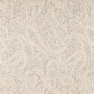 Charlotte Fabric D2596 Paisley Pewter