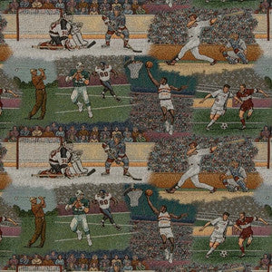 Charlotte Fabric D2681 Sports