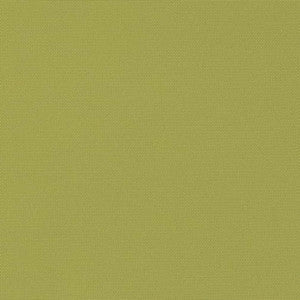 Charlotte Fabric D2804 Kiwi