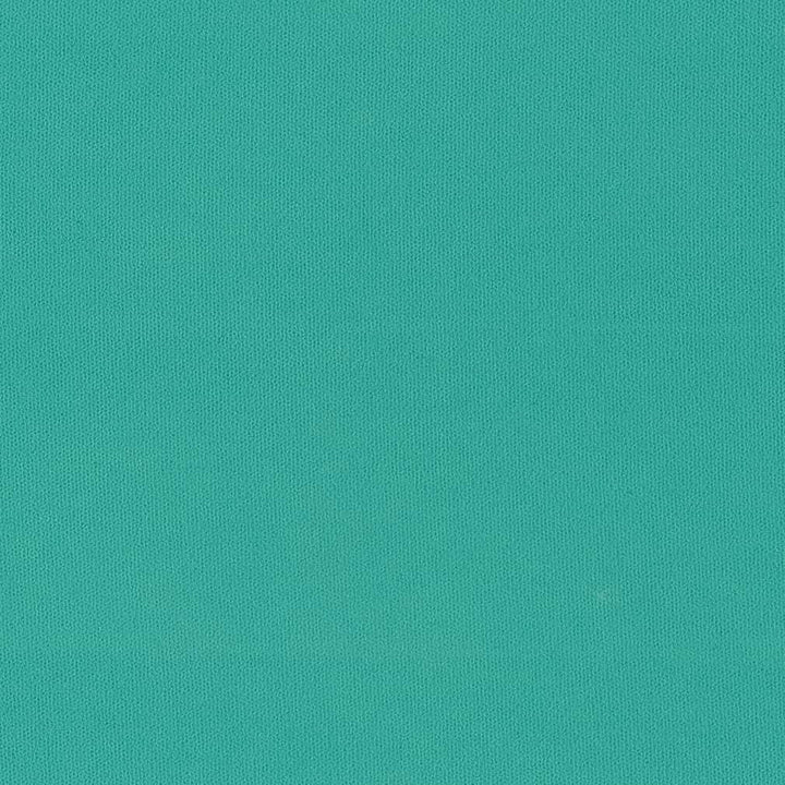D2827 Calypso by Charlotte Designer Fabric Patio Plains 100% Solution Dyed Polyester Asia Exceeds 100,000 Wyzenbeek Rubs </p><p>Repeat: 54 Inches - Swanky Fabrics -