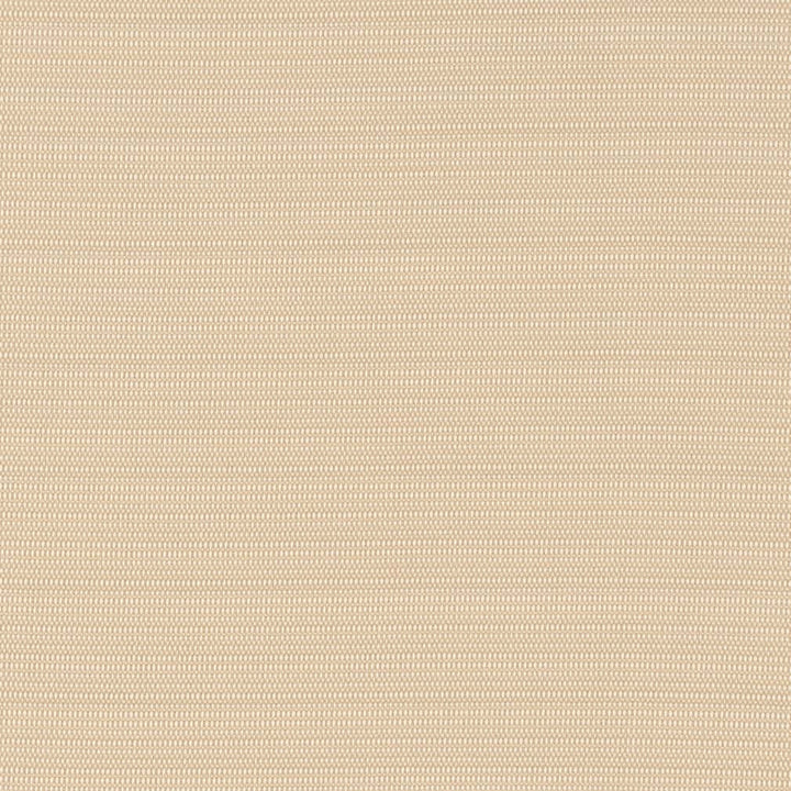 D2830 Almond by Charlotte Designer Fabric Patio Plains 100% Solution Dyed Polypropylene Asia Exceeds 100,000 Wyzenbeek Rubs </p><p>Repeat: 54 Inches - Swanky Fabrics -
