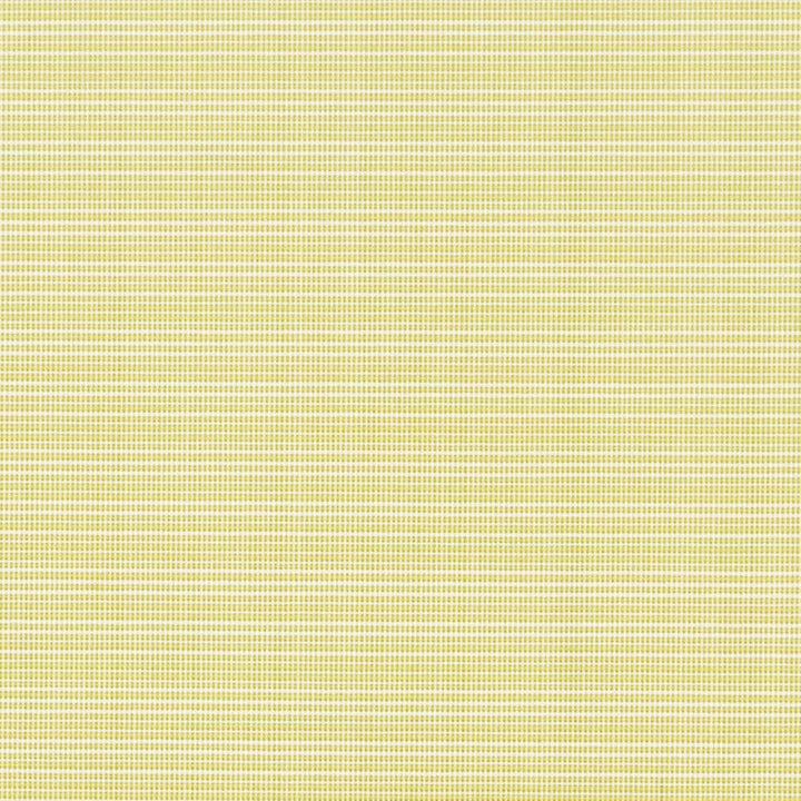 D2838 Citrus by Charlotte Designer Fabric Patio Plains 100% Solution Dyed Polypropylene Asia Exceeds 100,000 Wyzenbeek Rubs </p><p>Repeat: 54 Inches - Swanky Fabrics -