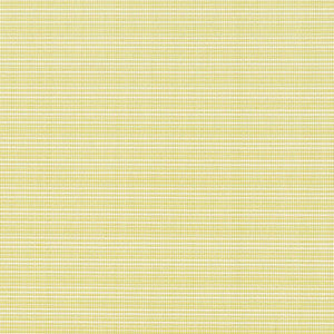 Charlotte Fabric D2838 Citrus