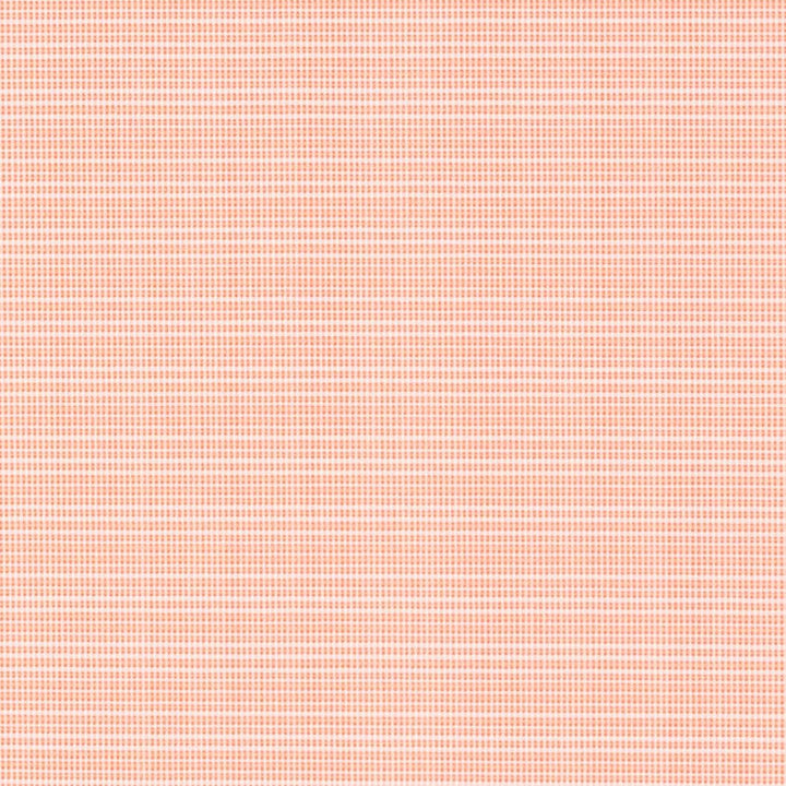D2840 Salmon by Charlotte Designer Fabric Patio Plains 100% Solution Dyed Polypropylene Asia Exceeds 100,000 Wyzenbeek Rubs </p><p>Repeat: 54 Inches - Swanky Fabrics -