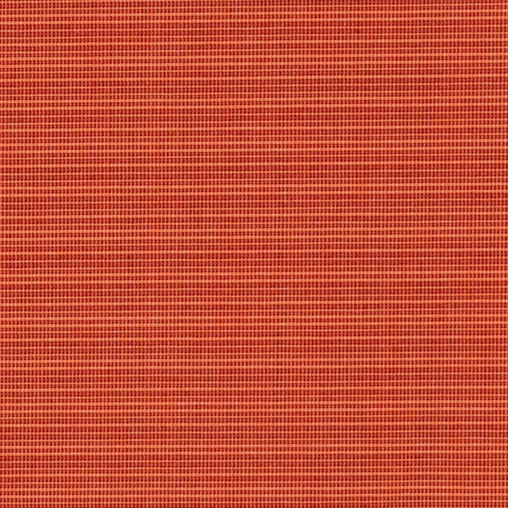 D2843 Flame by Charlotte Designer Fabric Patio Plains 100% Solution Dyed Polypropylene Asia Exceeds 100,000 Wyzenbeek Rubs </p><p>Repeat: 54 Inches - Swanky Fabrics -