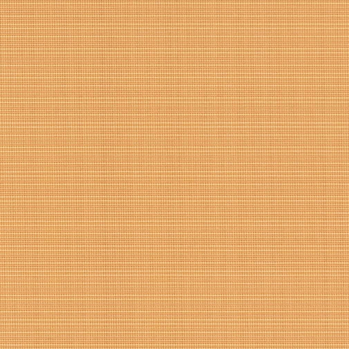 D2856 Straw by Charlotte Designer Fabric Patio Plains 100% Solution Dyed Polypropylene Asia Exceeds 100,000 Wyzenbeek Rubs </p><p>Repeat: 54 Inches - Swanky Fabrics -