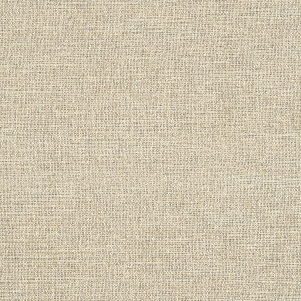 D2969 Bone by Charlotte Designer Fabric Chenille III 100% Polyester Asia Exceeds 30,000 Wyzenbeek Rubs (Heavy Duty) </p><p>Repeat: No Repeat 54 Inches - Swanky Fabrics -