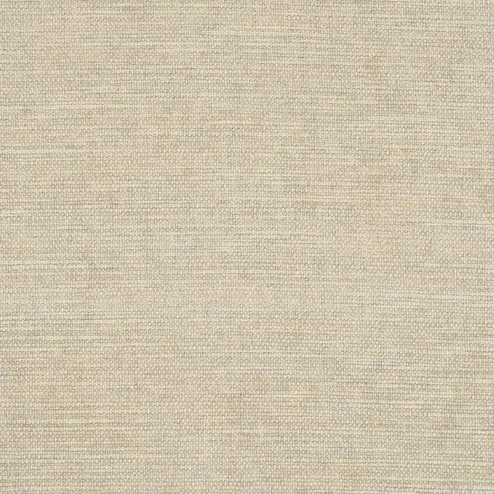 D2969 Bone by Charlotte Designer Fabric Chenille III 100% Polyester Asia Exceeds 30,000 Wyzenbeek Rubs (Heavy Duty) </p><p>Repeat: No Repeat 54 Inches - Swanky Fabrics -