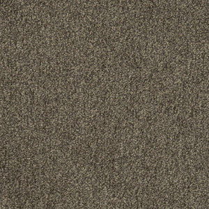 Charlotte Fabric D2975 Ash
