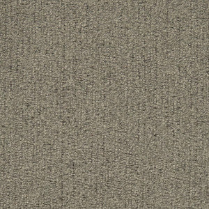 Charlotte Fabric D2976 Nickle