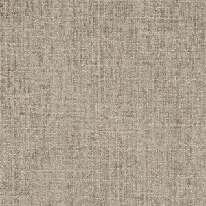 Charlotte Fabric D2999 Sterling