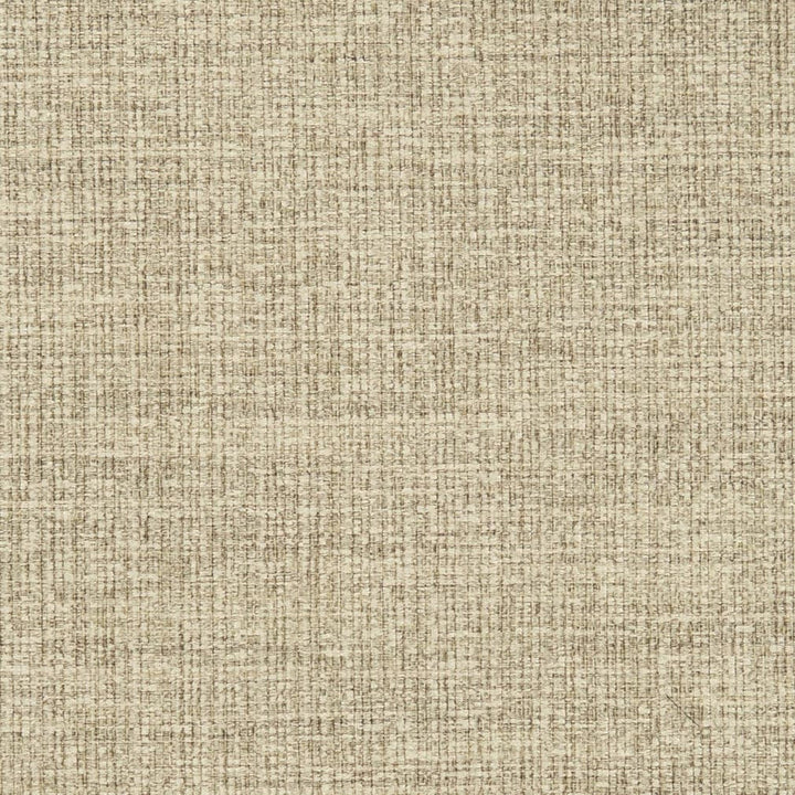 D3013 Oatmeal by Charlotte Designer Fabric Chenille III 100% Polyester Asia Exceeds 30,000 Wyzenbeek Rubs (Heavy Duty) </p><p>Repeat: No Repeat 54 Inches - Swanky Fabrics -