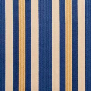 Charlotte Fabric D301 Regal Noble Stripe