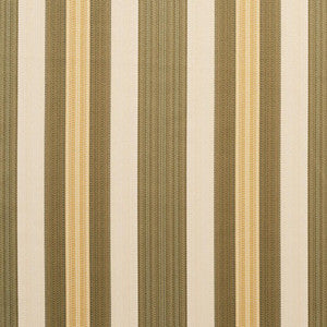 Charlotte Fabric D303 Juniper Noble Stripe