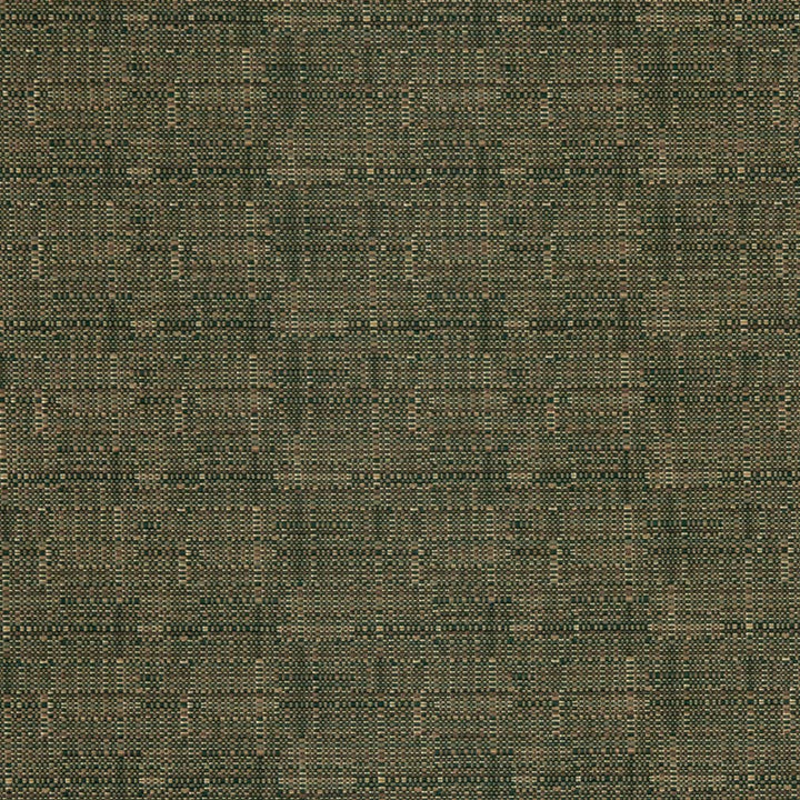 D3084 Pistachio by Charlotte Designer Fabric Durables IV 67% Olefin, 33% Polyester Made In USA Exceeds 100,000 Wyzenbeek Rubs (Heavy Duty) </p><p>Repeat: No Repeat 54 Inches - Swanky Fabrics -