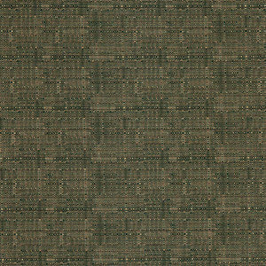 Charlotte Fabric D3084 Pistachio