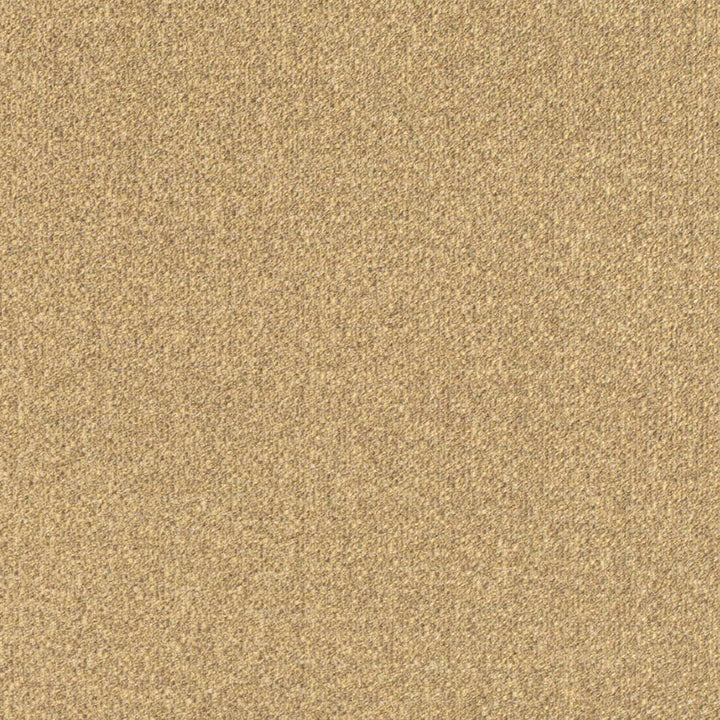 D3243 by Charlotte Designer Fabric Old World Classics II 100% Polyester Spain Exceeds 42,000 Wyzenbeek Rubs (Heavy Duty) No Repeat 54 Inches - Swanky Fabrics -