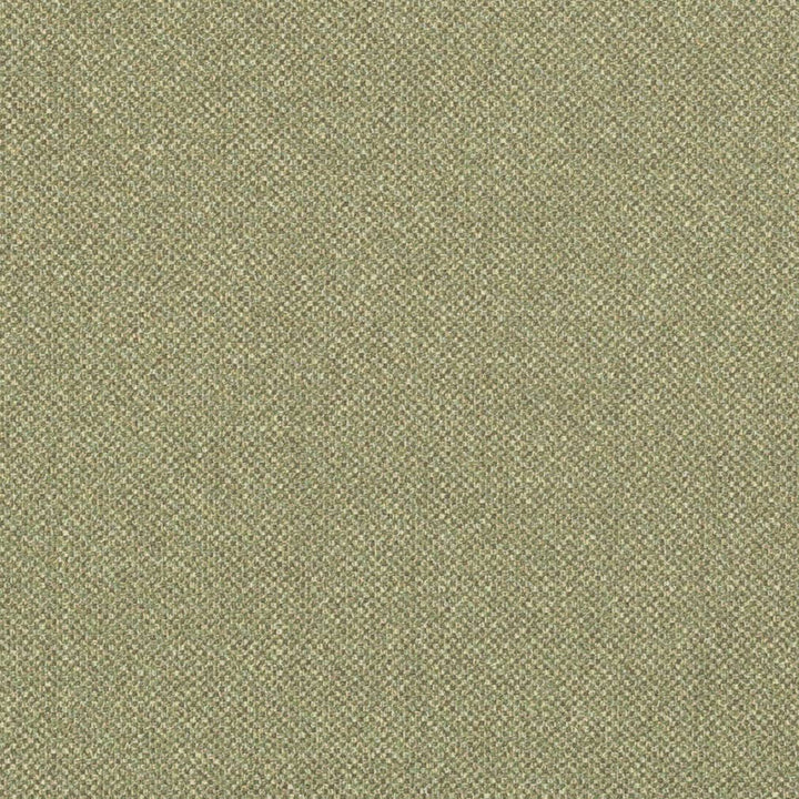 D3244 by Charlotte Designer Fabric Old World Classics II 100% Polyester Spain Exceeds 42,000 Wyzenbeek Rubs (Heavy Duty) No Repeat 54 Inches - Swanky Fabrics -