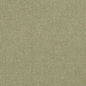 Charlotte Fabric D3244