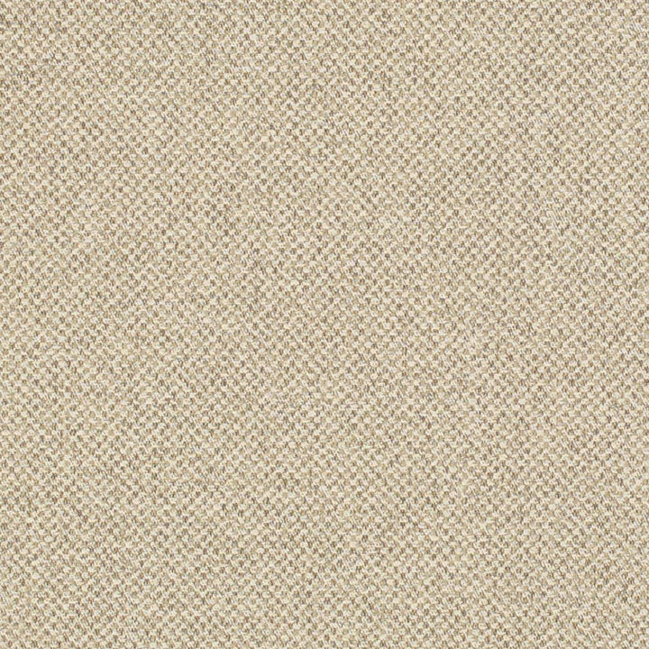 D3272 by Charlotte Designer Fabric Old World Classics II 50% Polyester, 25% Acrylic, 25% Cotton Spain Exceeds 60,000 Wyzenbeek Rubs (Heavy Duty) No Repeat 54 Inches - Swanky Fabrics -