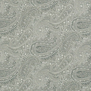 Charlotte Fabric D3281