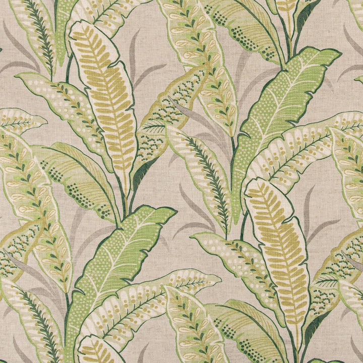 D3306 Leaf by Charlotte Designer Fabric Linen Prints 95% Polyester, 5% Linen Asia Exceeds 100,000 Wyzenbeek Rubs (Heavy Duty) </p><p>Repeat: Horizontal 28" x Vertical 26" 54 Inches - Swanky Fabrics -