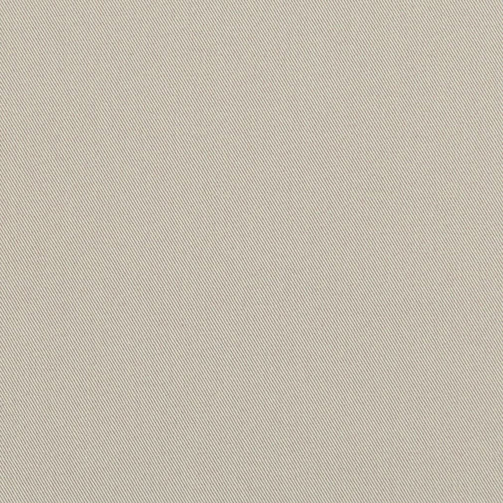 D3360 Silver by Charlotte Designer Fabric Washed Cotton 20oz, 100% Cotton Made In USA Exceeds 20,0000 Wyzenbeek Rubs (Heavy Duty) </p><p>Repeat: No Repeat 54 Inches - Swanky Fabrics -