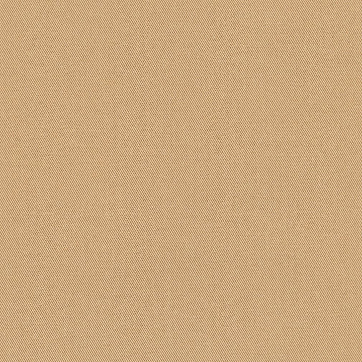 D3371 Peanut by Charlotte Designer Fabric Washed Cotton 20oz, 100% Cotton Made In USA Exceeds 20,0000 Wyzenbeek Rubs (Heavy Duty) </p><p>Repeat: No Repeat 54 Inches - Swanky Fabrics -