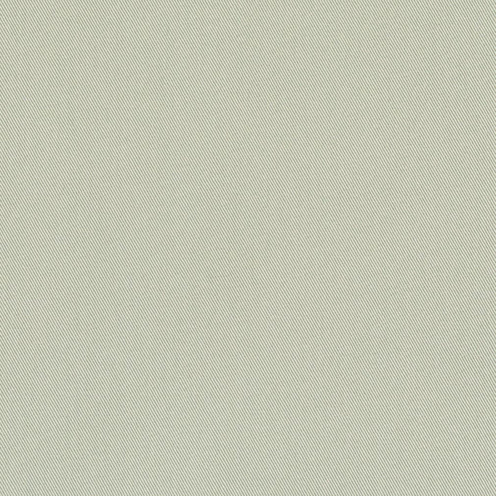 D3385 Mint by Charlotte Designer Fabric Washed Cotton 20oz, 100% Cotton Made In USA Exceeds 20,0000 Wyzenbeek Rubs (Heavy Duty) </p><p>Repeat: No Repeat 54 Inches - Swanky Fabrics -