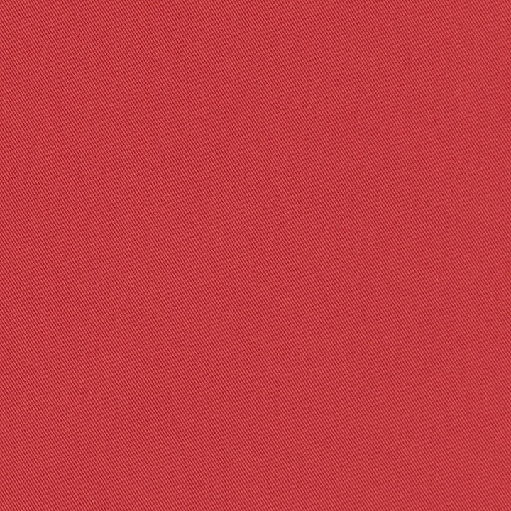 D3401 Apple by Charlotte Designer Fabric Washed Cotton 20oz, 100% Cotton Made In USA Exceeds 20,0000 Wyzenbeek Rubs (Heavy Duty) </p><p>Repeat: No Repeat 54 Inches - Swanky Fabrics -